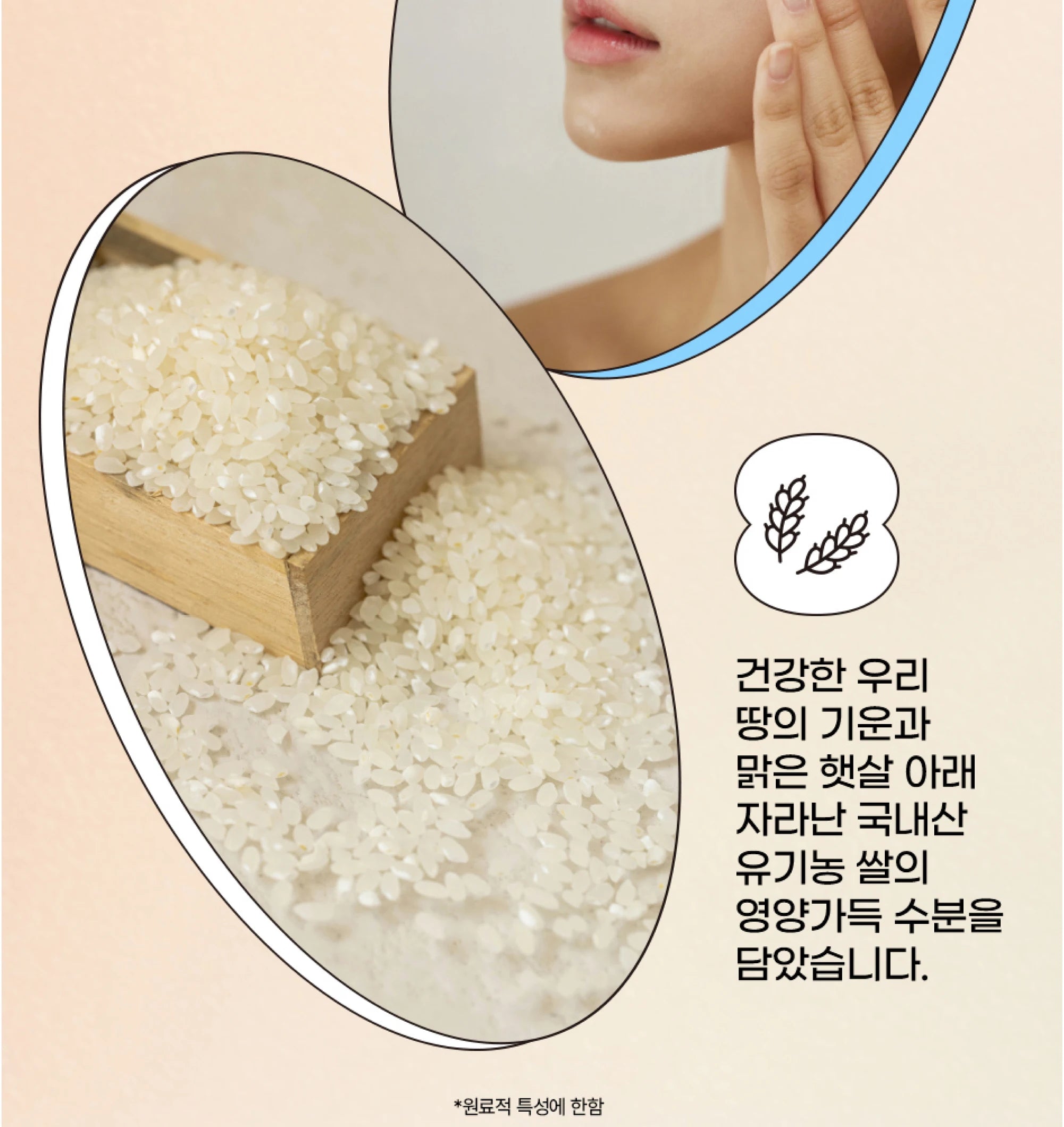 Beauty of Joseon Relief Sun: Rice + Probiotics SPF50+ PA++++
